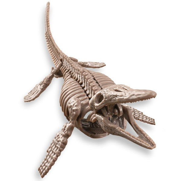 Kit Geológico Mosasaurus