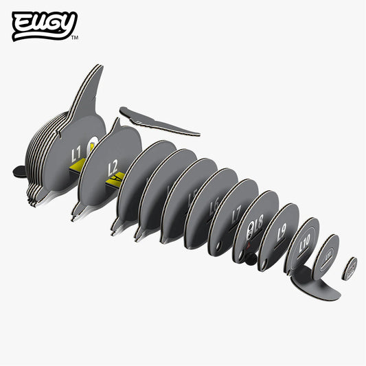 🐬Puzzle 3D Delfín