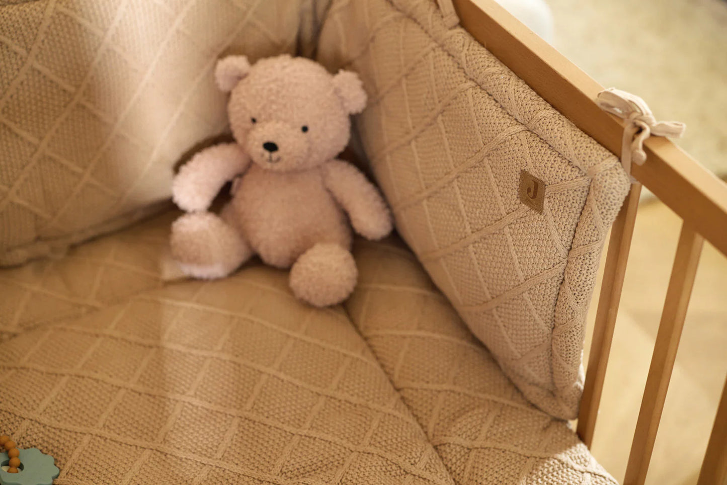 Teddy Bear Rose