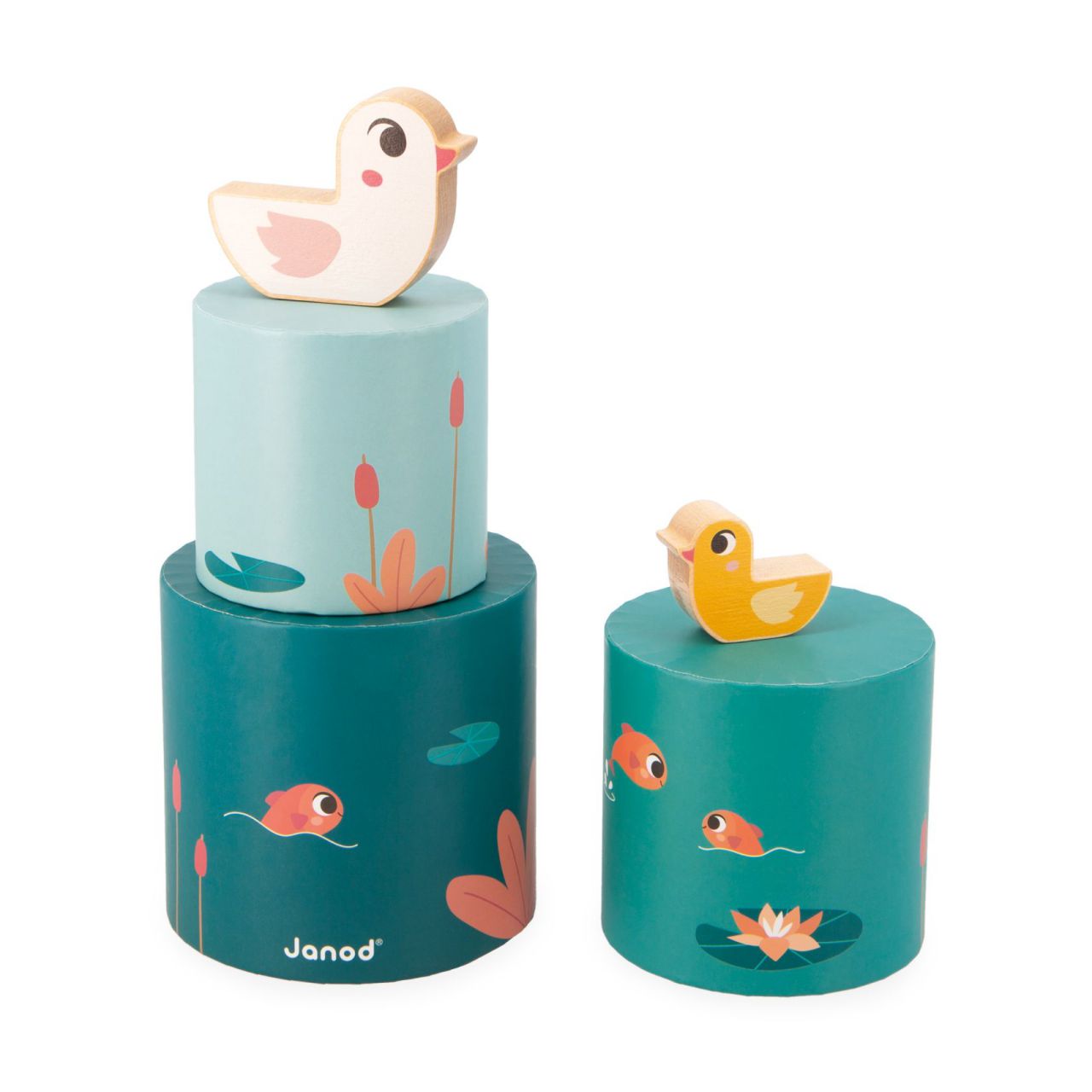 Janod Box - 12 Meses