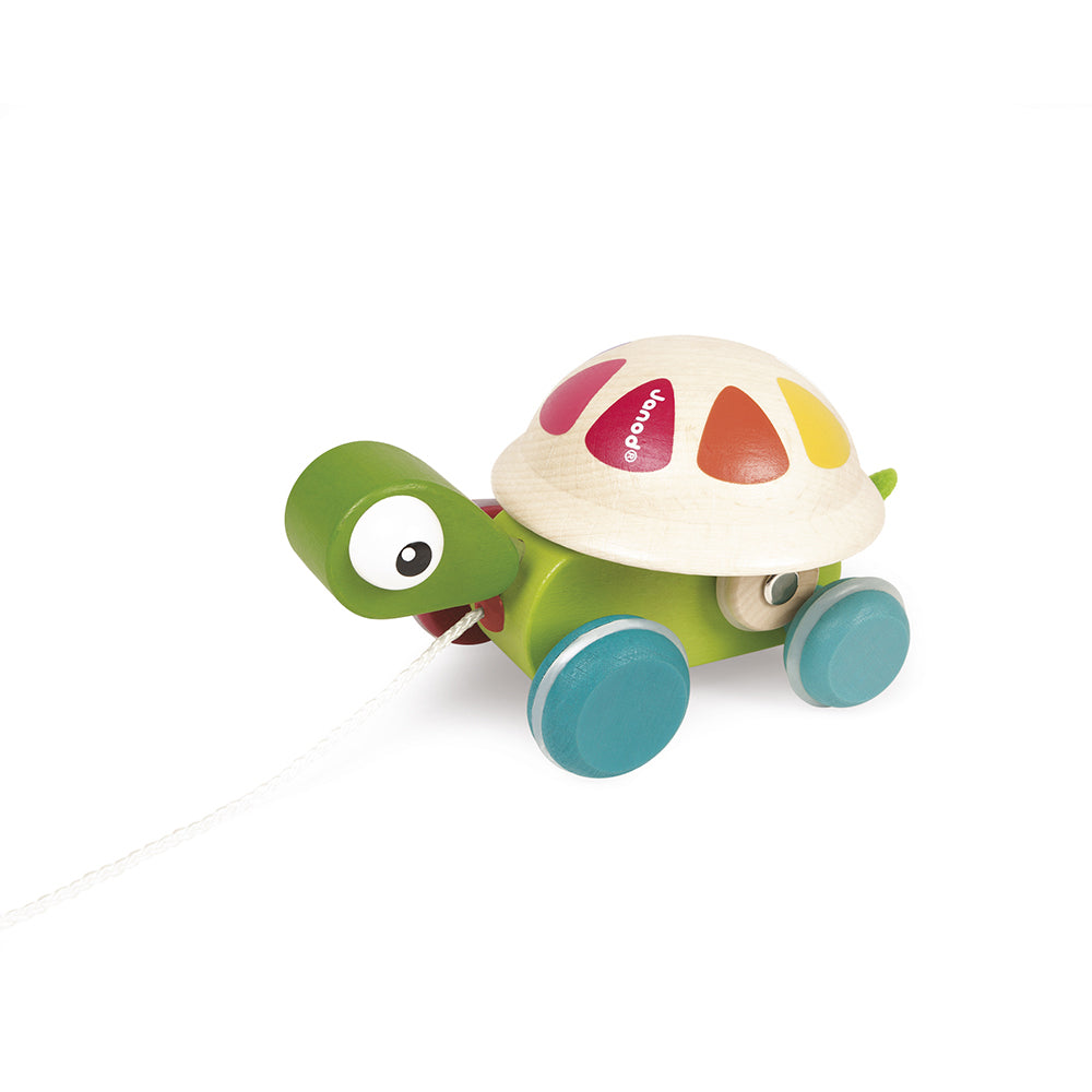 Tortuga Sonajero de Arrastre