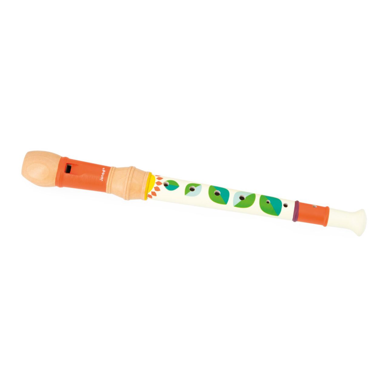 Conjunto Musical Gioia