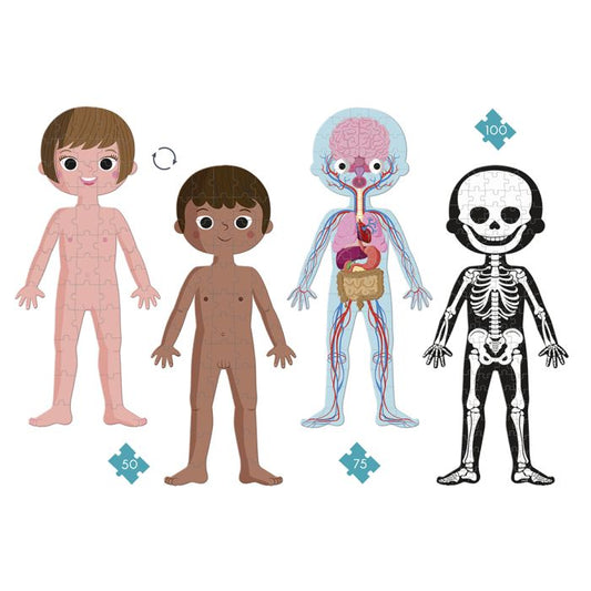 Puzle - Cuerpo Humano