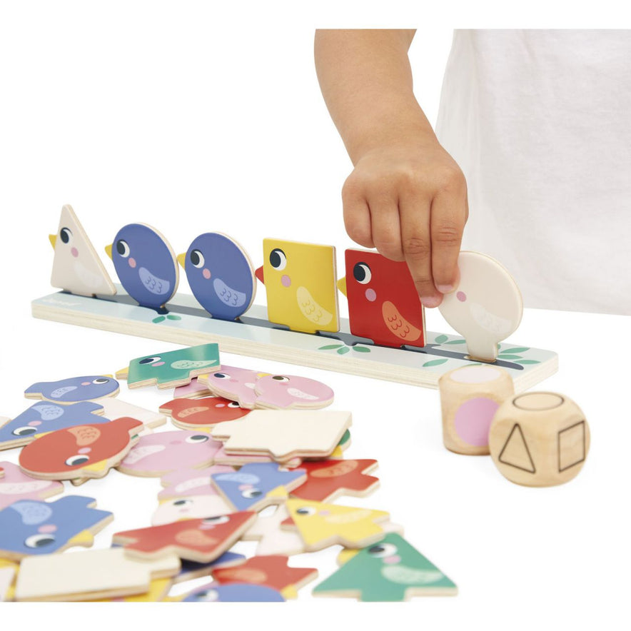 Clasifiación de Formas, Tamaños y Colores 🐦