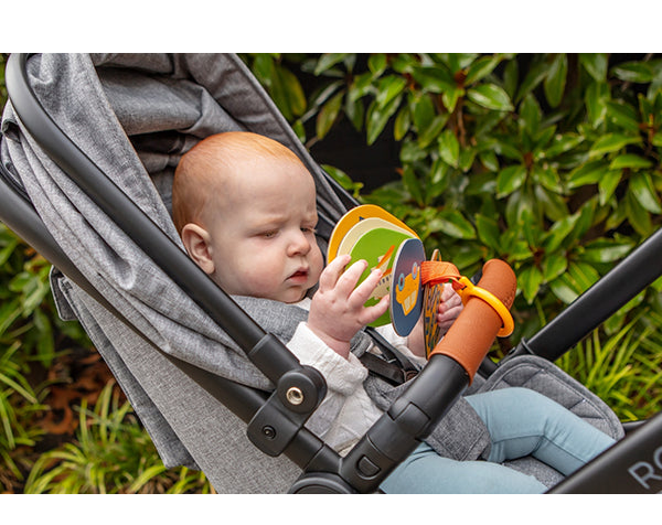 Stroller Cards - Transporte