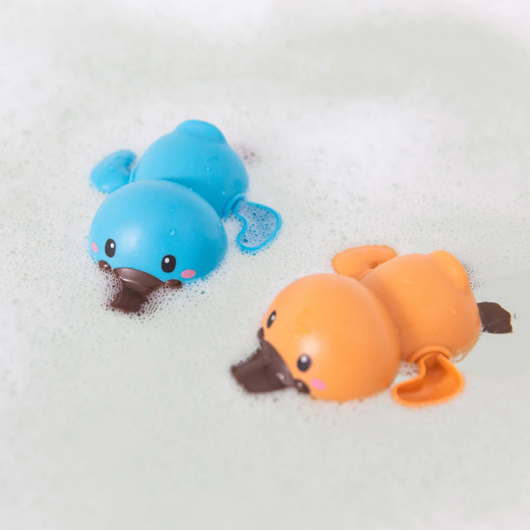 Bath Racers Platypuses