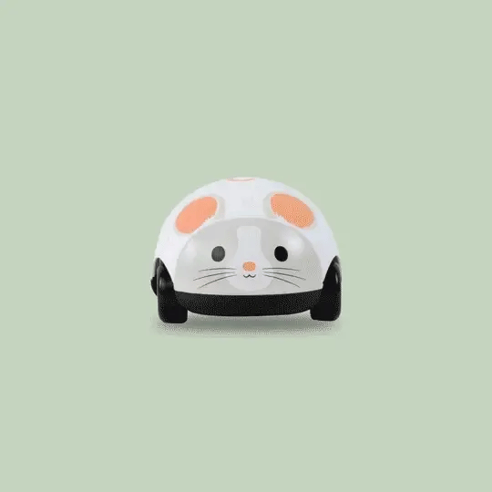 Gato y Ratón