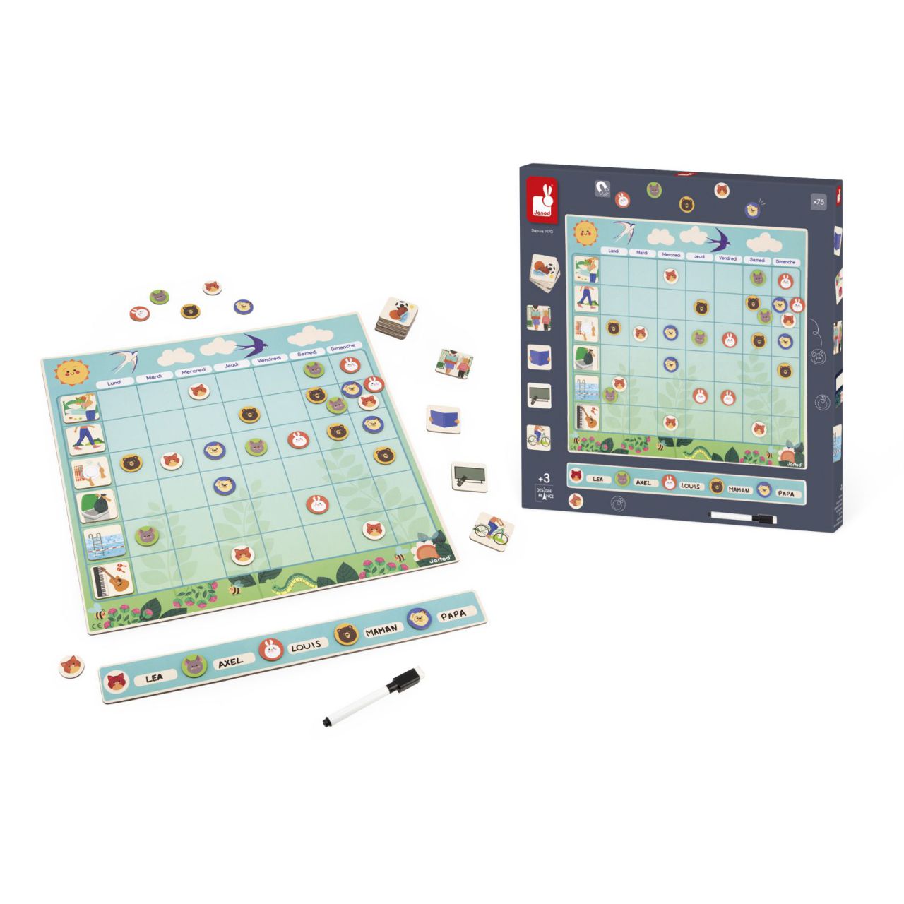 Tabla De Organización