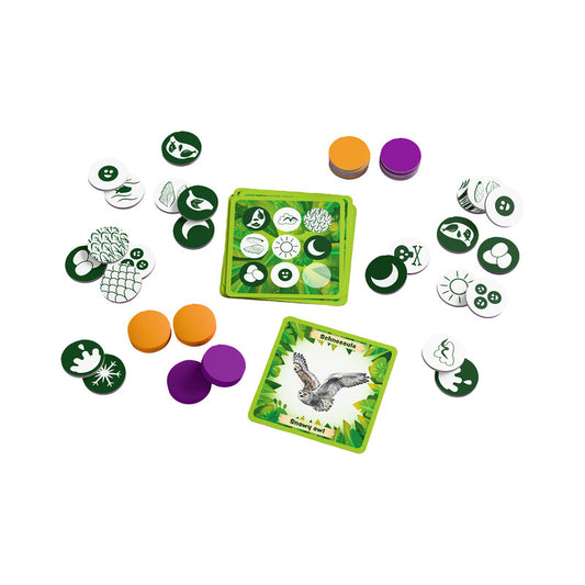 Bingo Animals Around the World