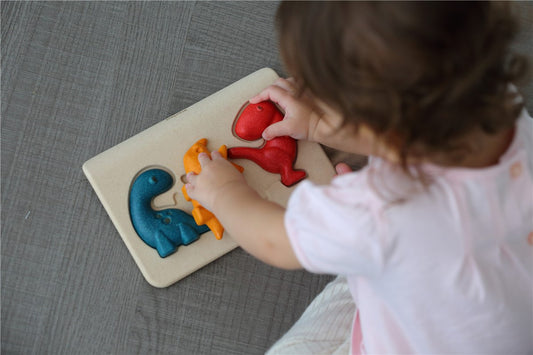 Puzle Dinos