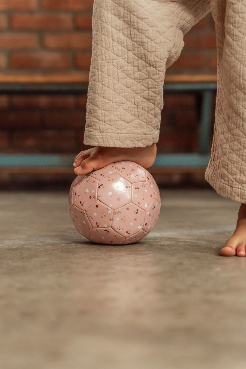 Pelota Mini