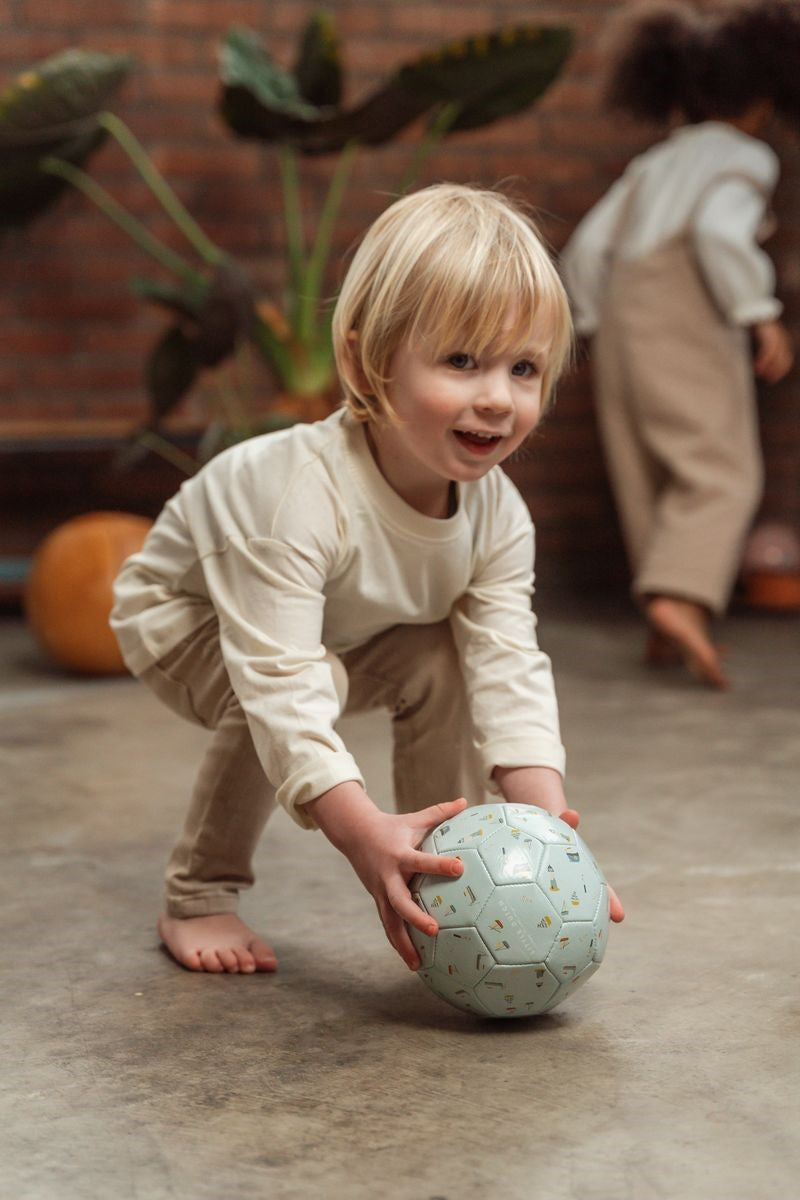 Pelota Mini