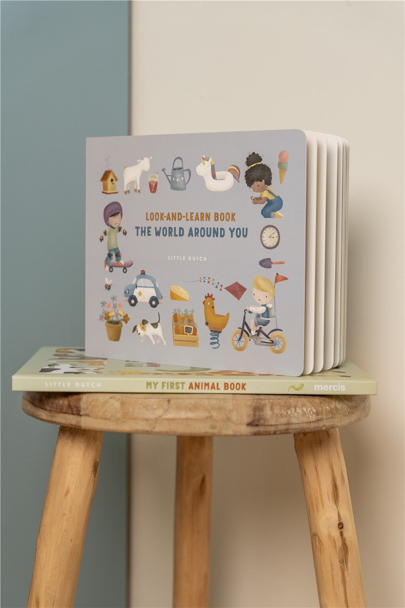 Libro «Look & Learn, The World Around You»