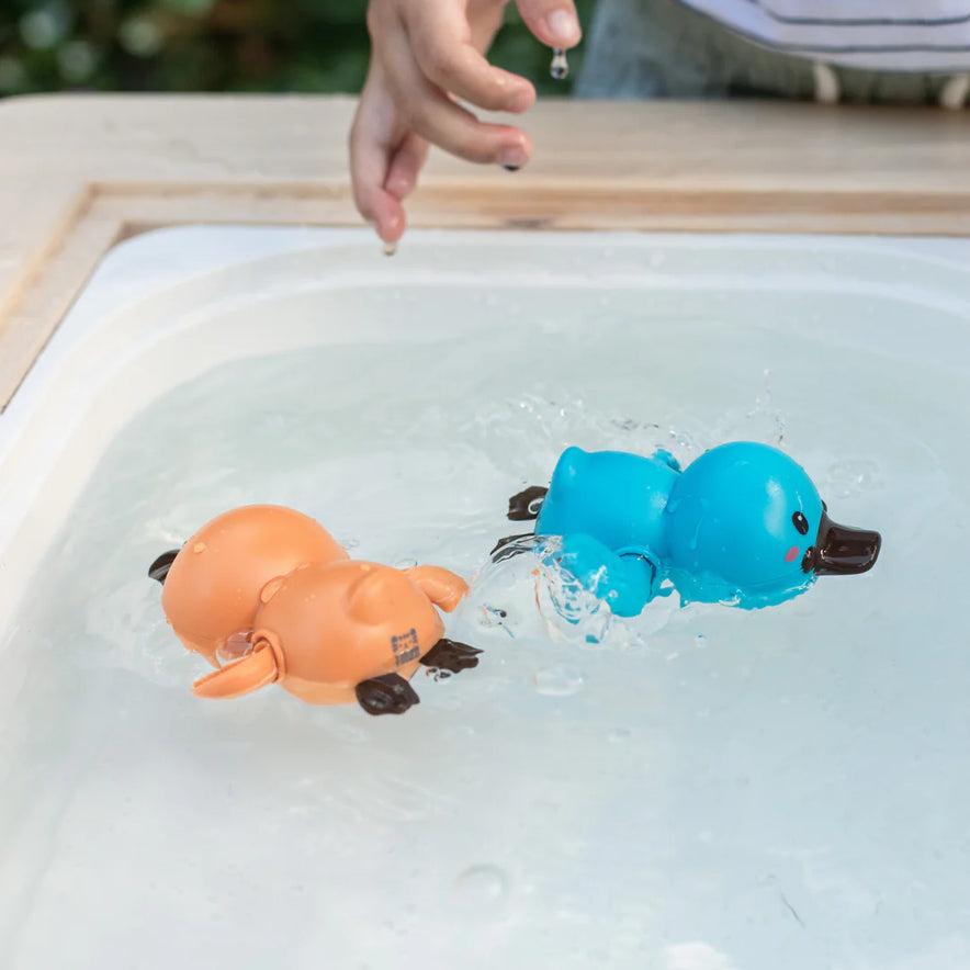 Bath Racers Platypuses
