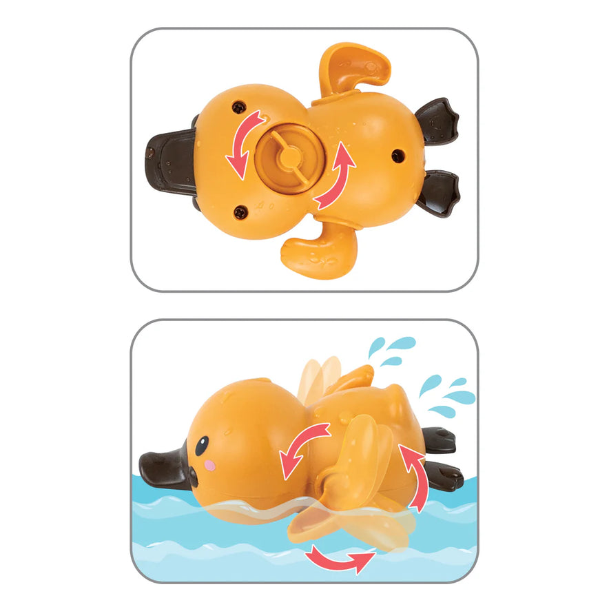 Bath Racers Platypuses
