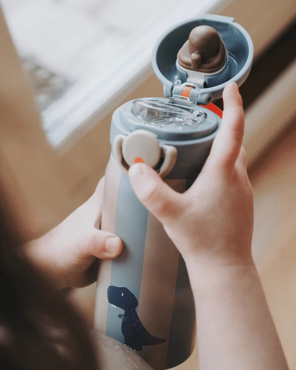 Botella de Acero Térmica Dino