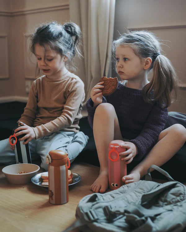 Botella de Acero Térmica Princesa