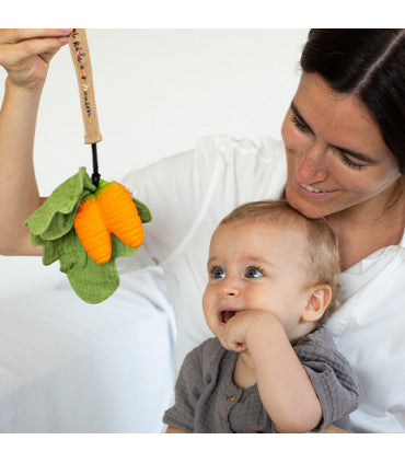 Pacifier Clip