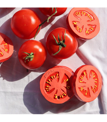 Renato the Tomato