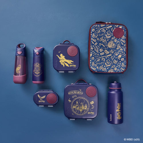 Mini Lunchbox - Harry Potter