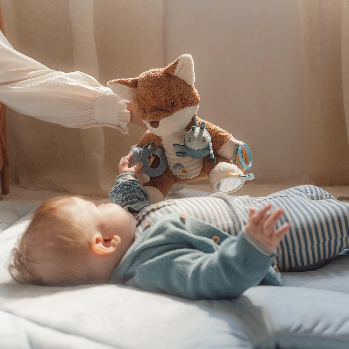 Zorrito Actividades Forest