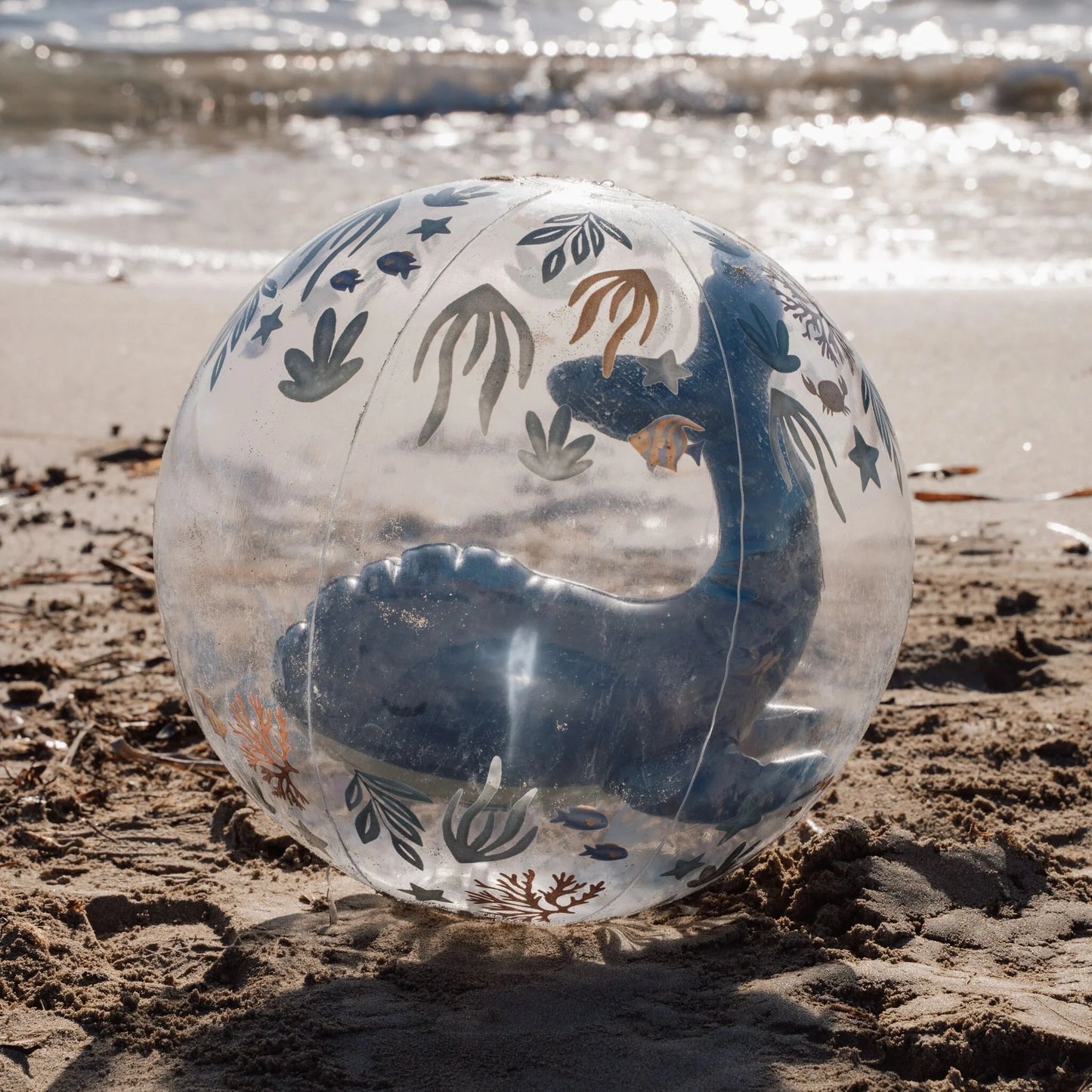 Pelota de Playa Océano 3D
