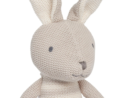 Bunny Joey