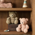 Teddy Bear Rose