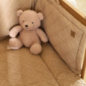 Teddy Bear Rose