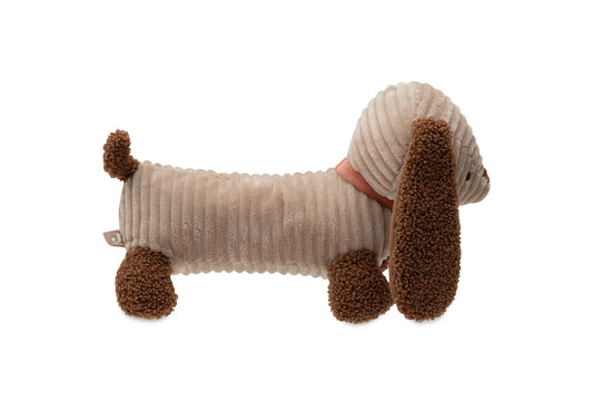 Diego Dog
