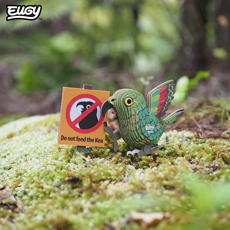 🐦Puzzle 3D Kea