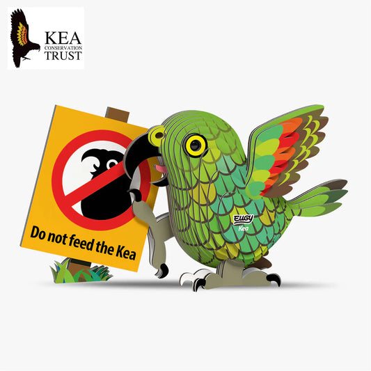 🐦Puzzle 3D Kea