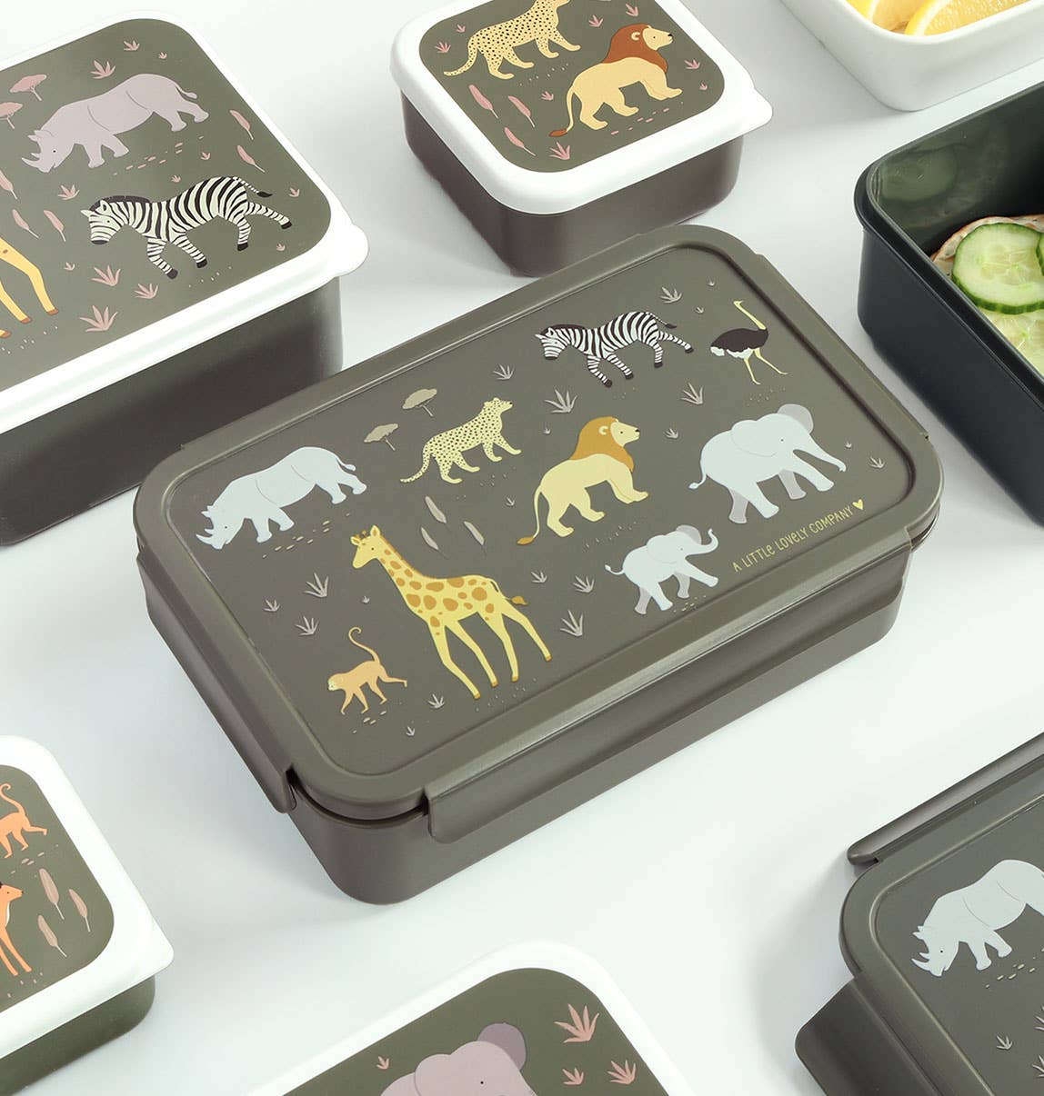Tupper Bento Savanna