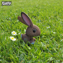 🐰Puzzle 3D Conejo