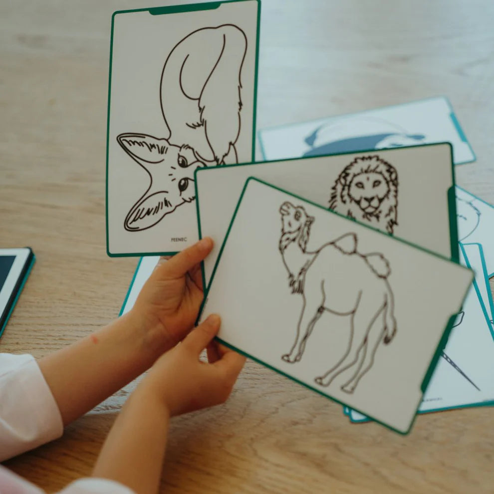 KIDYDRAW Plantillas