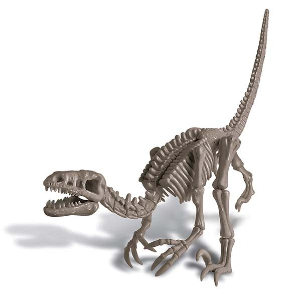 Kit Geológico Velociraptor