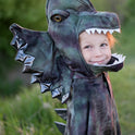 Capa Grandasaurus
