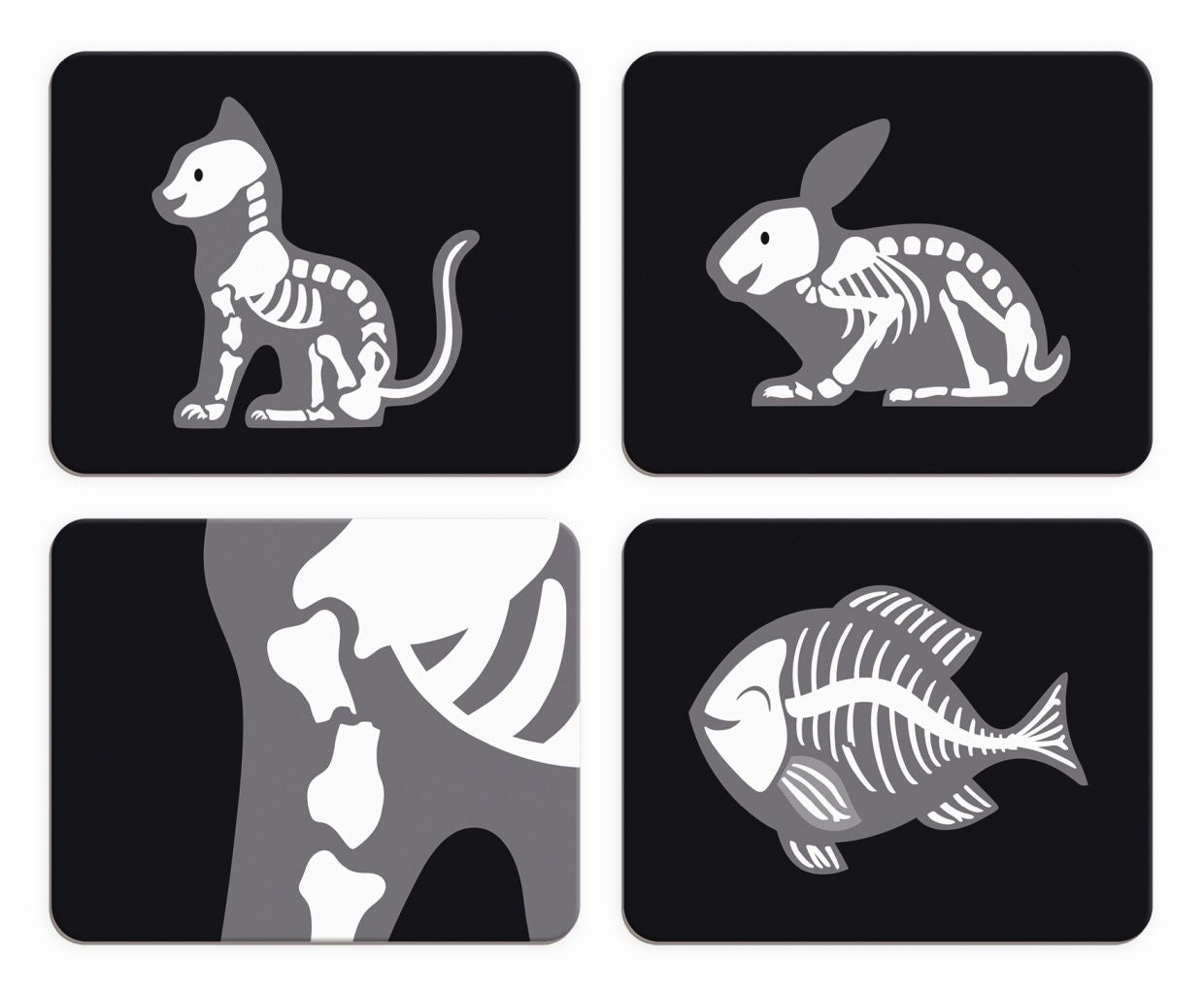 Maletín de Veterinario