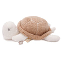 Tortuga Actividad