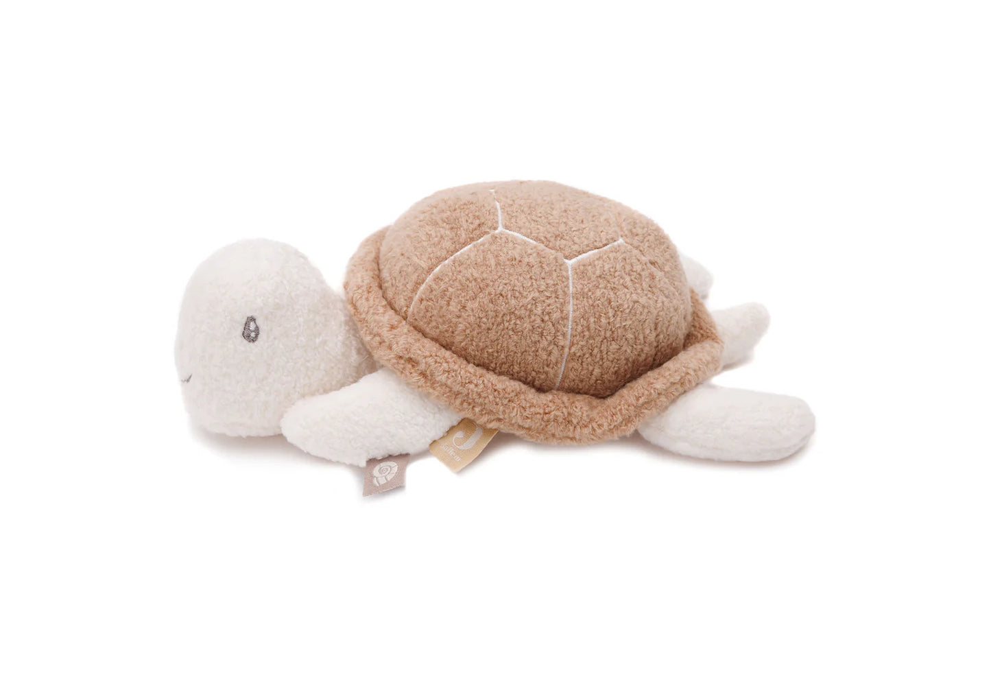 Tortuga Actividad