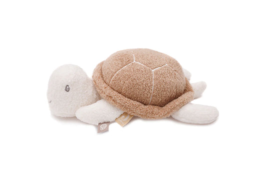 Tortuga Actividad