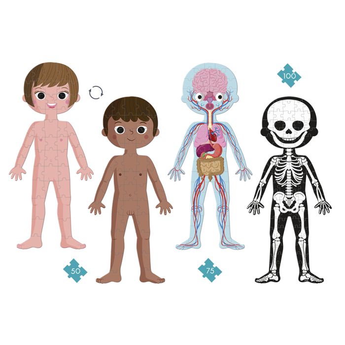 Puzle - Cuerpo Humano