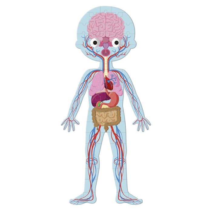 Puzle - Cuerpo Humano