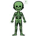Puzle - Cuerpo Humano