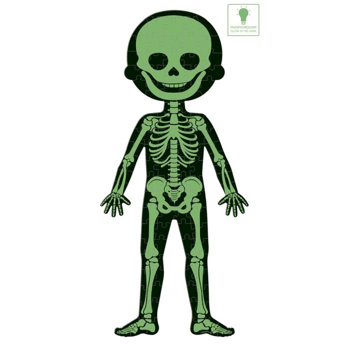 Puzle - Cuerpo Humano