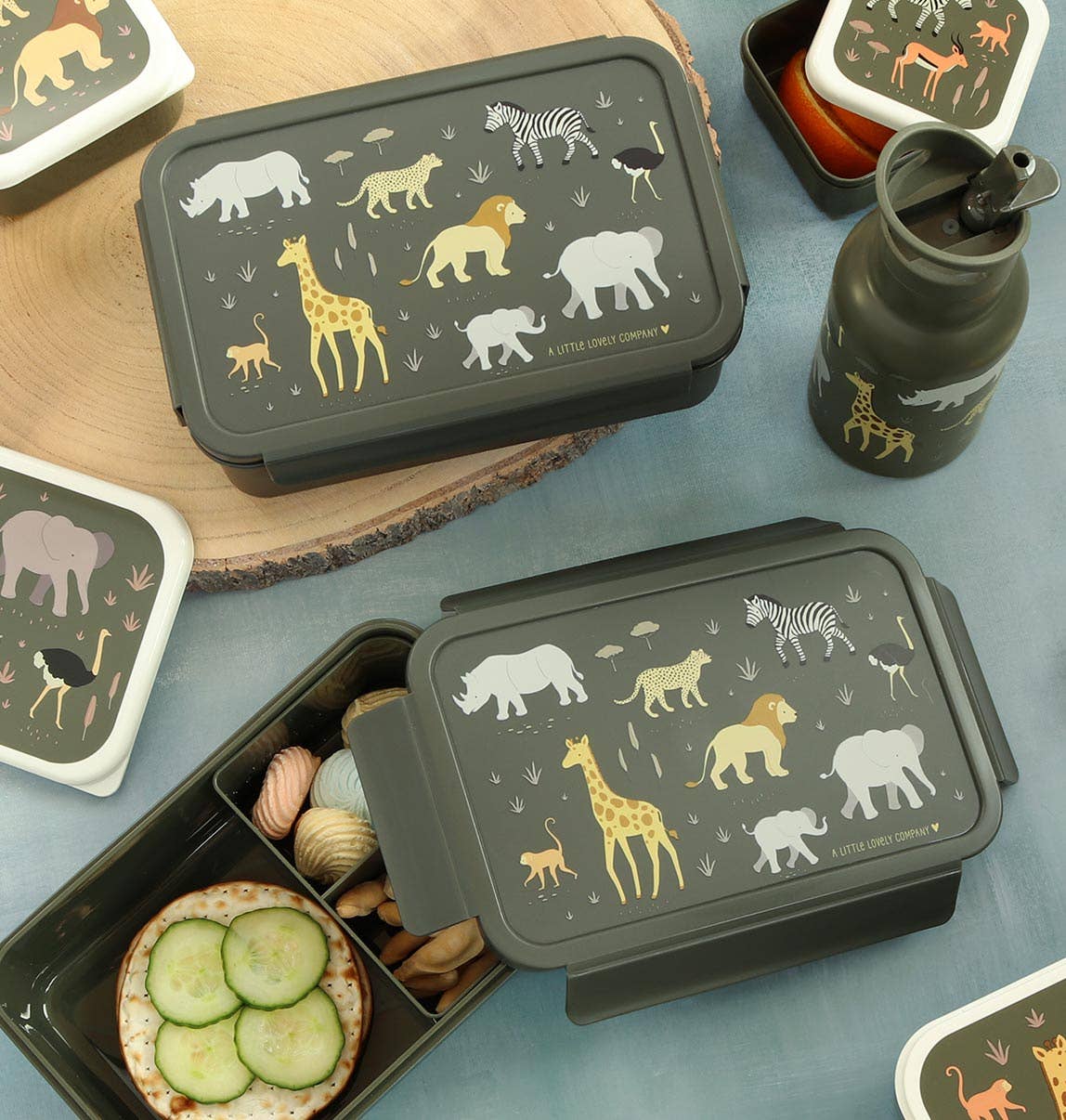 Tupper Bento Savanna