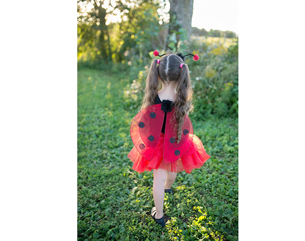 Glitter Ladybug