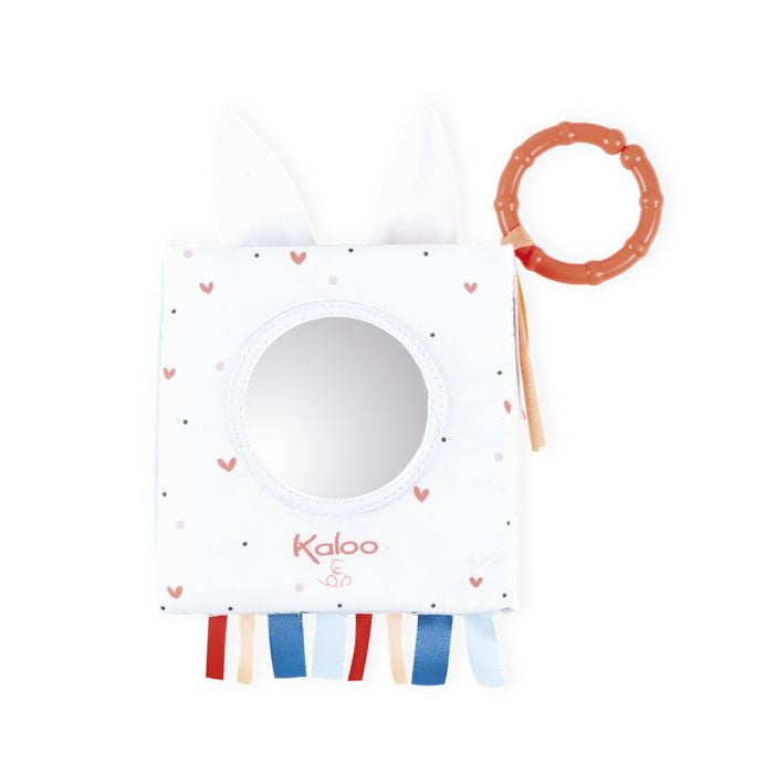 Libro de Actividades