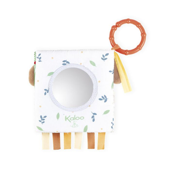 Libro de Actividades