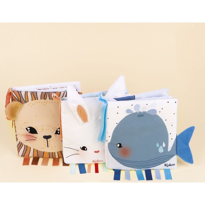 Libro de Actividades